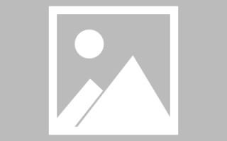 菏泽玉兔网站制作头像app（玉兔素材抠图）